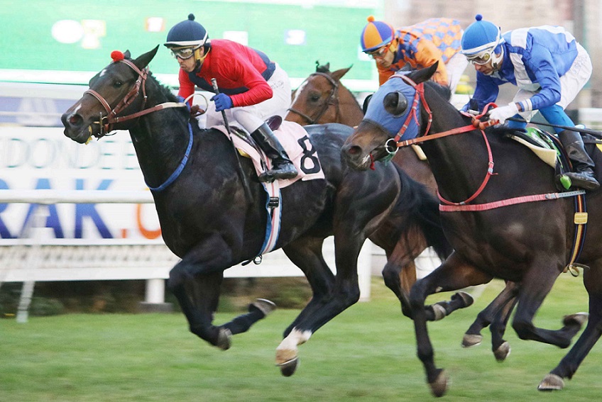 Muy Gracioso, horse, Lookin At Lucky, Clásico Criadores Marcel Zarour, viernes, 31 de mayo de 2019, Club Hípico de Santiago. Foto: Jaime Cortés