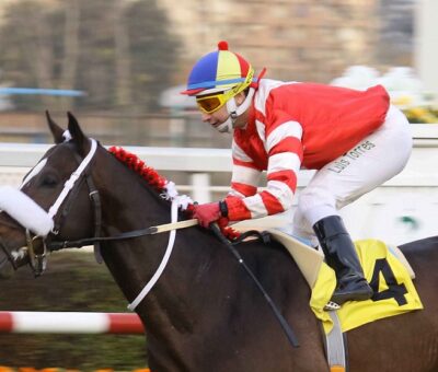 Del Bosque, horse, Haras Don Alberto, Clásico Josué Smith Solar, viernes, 5 de julio de 2019, Club Hípico de Santiago. Foto: Jaime Cortés