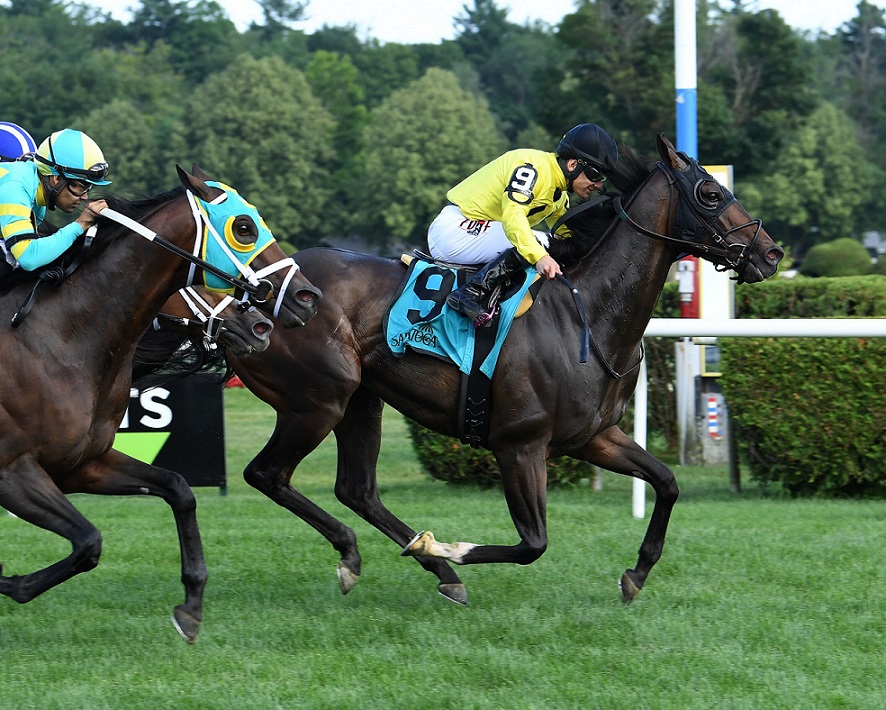 Mr. Havercamp, horse, Court Vision, Forbidden Apple Stakes, viernes, 12 de julio de 2019, Saratoga. Foto: Coglaniese Photo