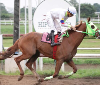 Señor Concerto, horse, Jorge Rangel, Clásico Familia Delvalle, domingo, 14 de julio de 2019, Presidente Remón. Foto: Erick Ruiz Prensa CODERE Panamá