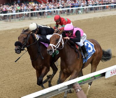 My Italian Rabbi, horse, Competitive Edge, Stillwater Stakes, jueves, 18 de julio de 2019, Saratoga. Foto: Coglaniese Photo & Chelsea Durand