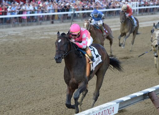 Tax horse, Arch, Jim Dandy Stakes, sábado, 27 de julio de 2019, Saratoga. Foto: Coglaniese Photo & Chelsea Durand