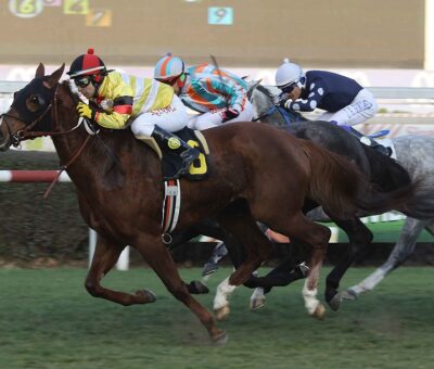 Doña Cocketa, horse, Haras Lizzie, Clásico Asociación de Propietarios FS Carreras, viernes, 9 de agosto de 2019, Club Hípico de Santiago. Foto: Jaime Cortés
