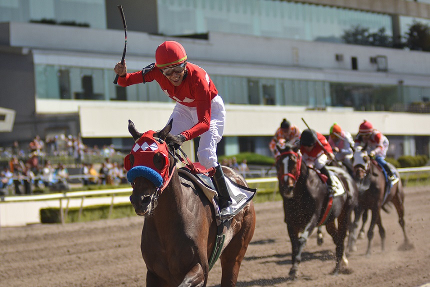 Kublaigo, horse, Rule, Clásico Cabalgata, Hipódromo de Las Américas, sábado, 31 de agosto de 2019. Foto: Miguel Ángel Espinoza