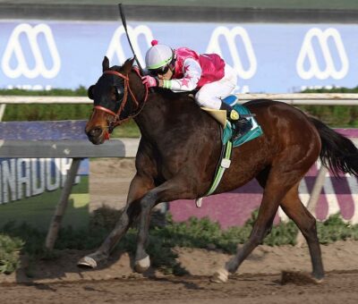 Tangananinca, horse, Haras Las Camelias, Clásico Premio Nobel, viernes, 16 de agosto de 2019, Club Hípico de Santiago. Foto: Jaime Cortés