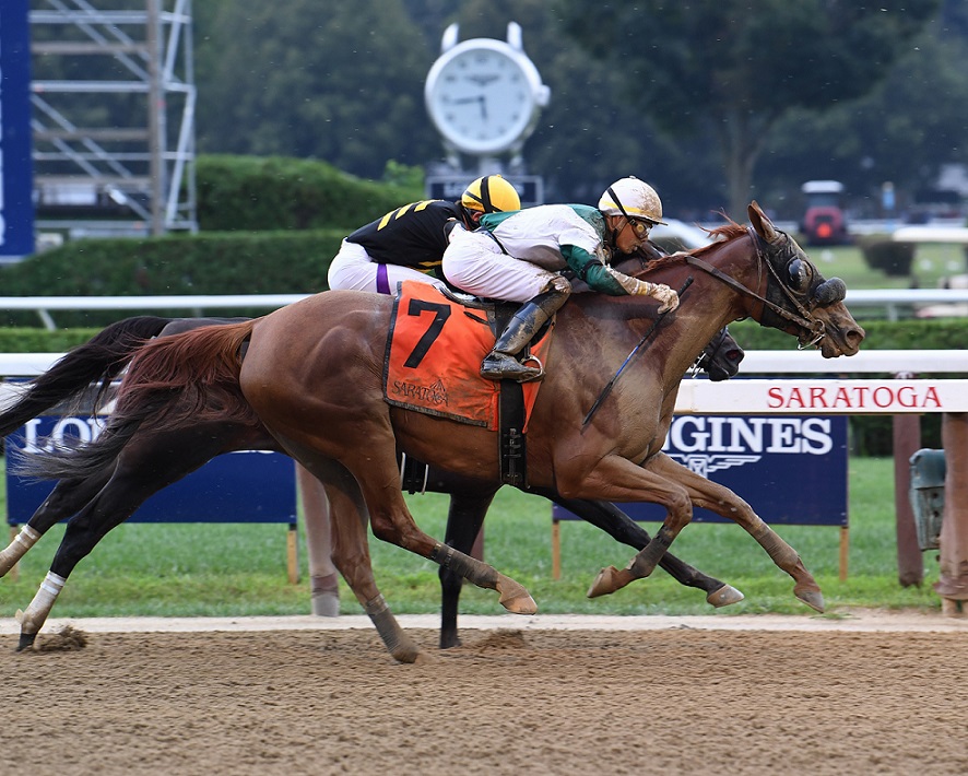 Blue Prize, horse, Twirling Candy, Summer Colony, domingo, 18 de agosto de 2019, Saratoga. Foto: Coglaniese Photo