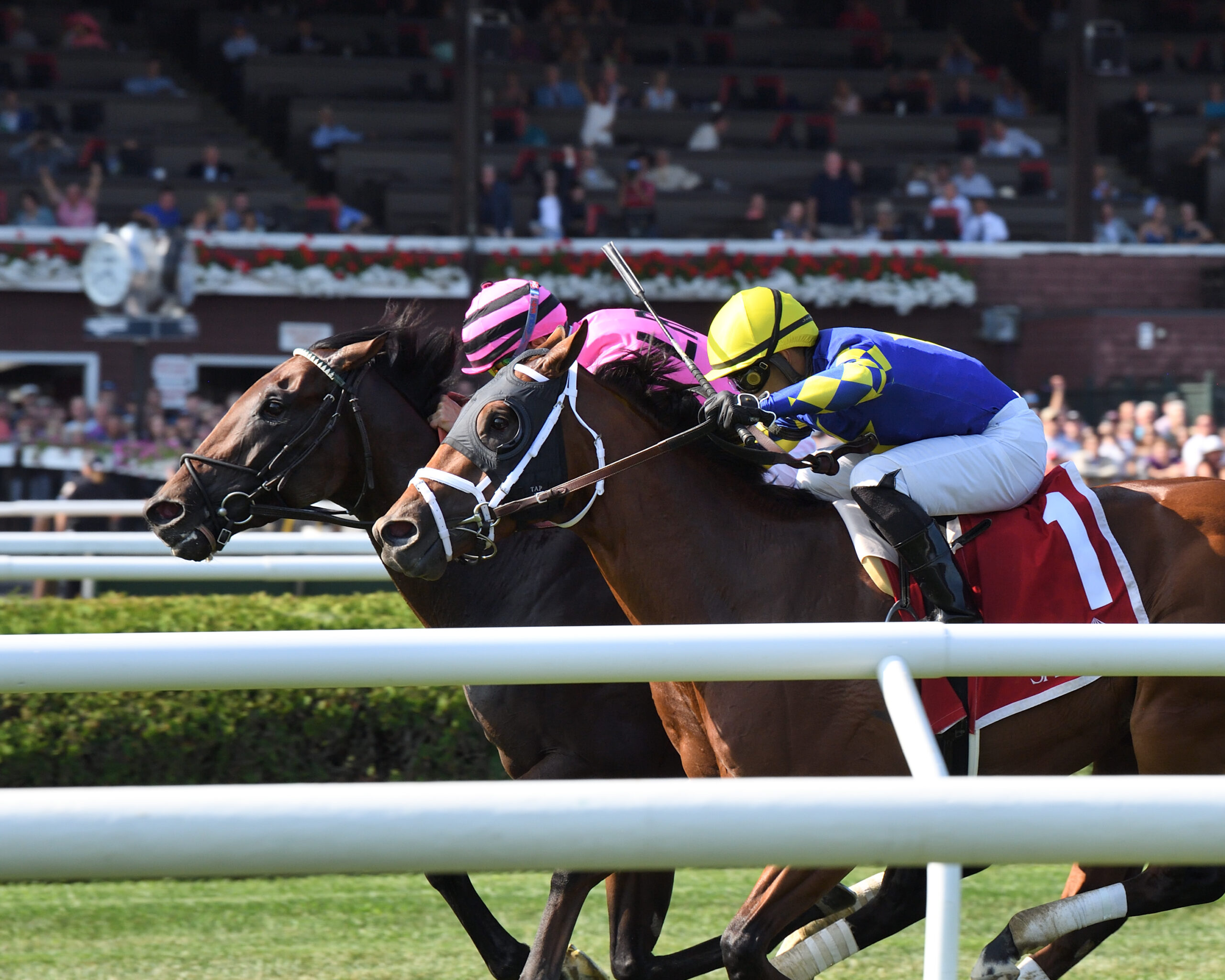 Casa Creed, horse, Jimmy Creed, National Museum Of Racing Hall Of Fame, viernes, 2 de agosto de 2019, Saratoga. Foto: Coglaniese Photo