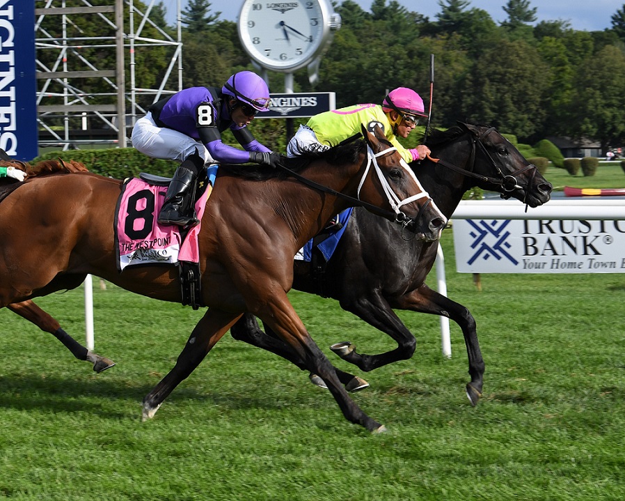 Offering Plan, horse, Spring At Last, West Point Stakes, jueves, 24 de agosto de 2019, Saratoga. Foto: Coglianese Photo