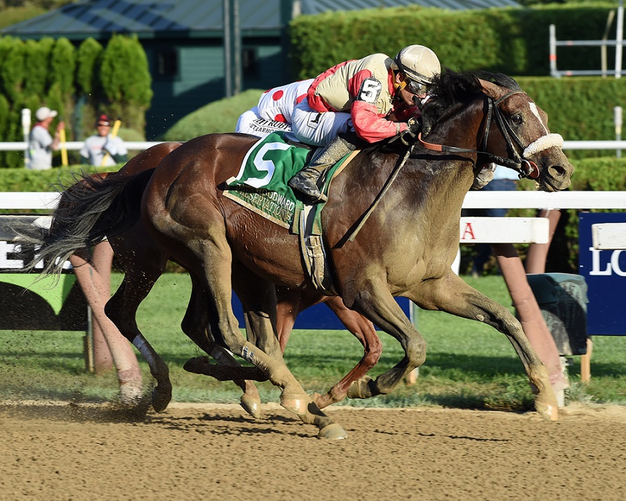 Preservationist horse, Arch, Woodward Stakes, sábado, 31 de agosto de 2019, Saratoga. Foto: Coglaniese Photo