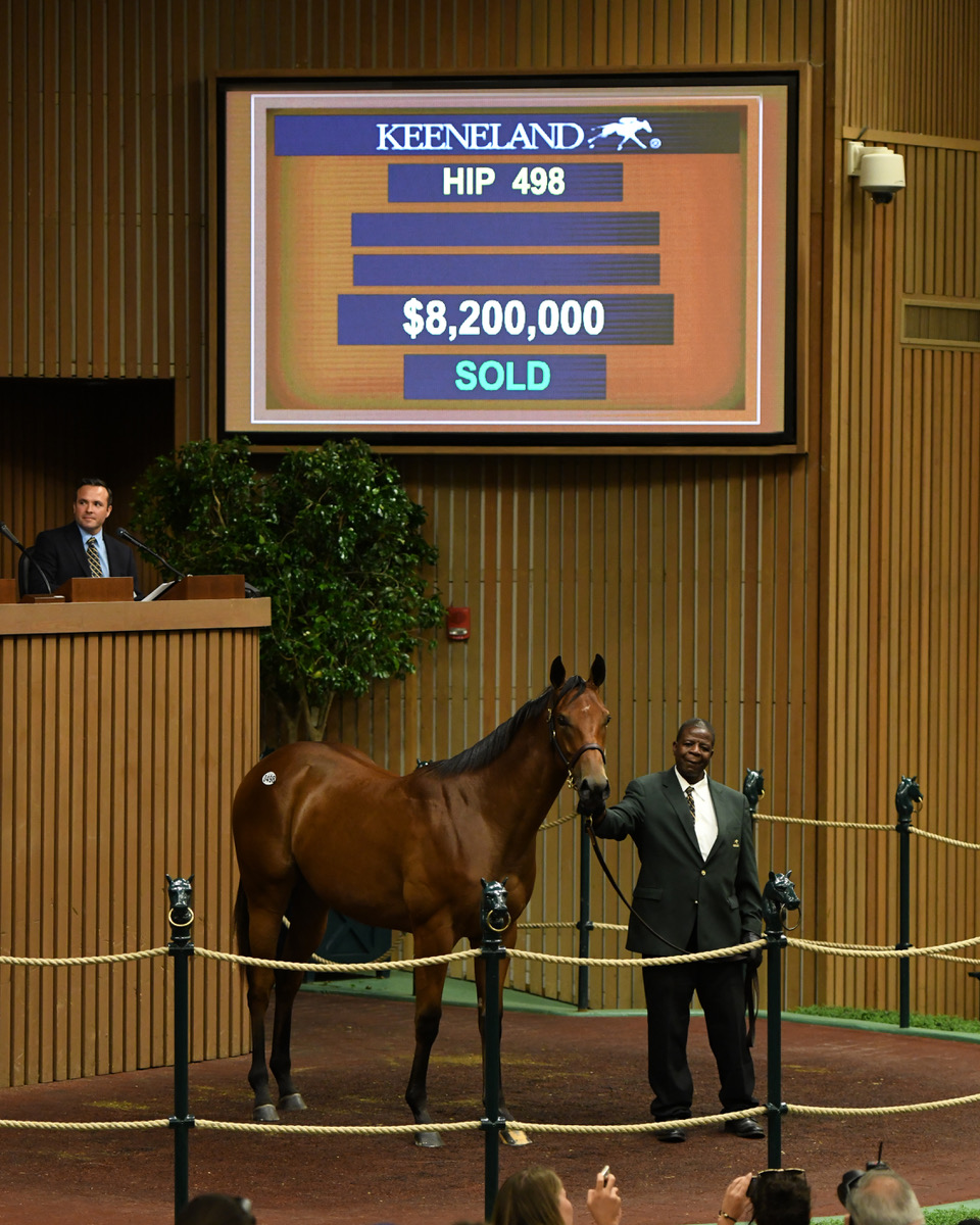 Potra hija de Leslie´s Lady, 498, horse, subasta, 11 de septiembre de 2019, Keeneland Select. Foto: Keeneland