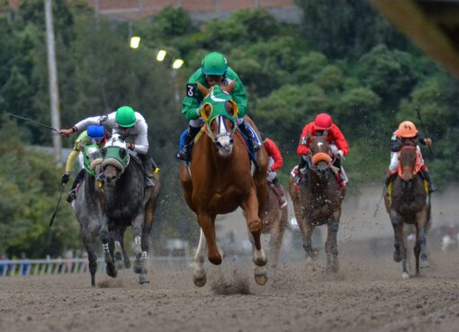 La Peralta, horse, Rancho Pozo de Luna, Clásico Criadores Mexicanos, Hipódromo de Las Américas, 28 de septiembre de 2019. Foto: Miguel Ángel Espinoza