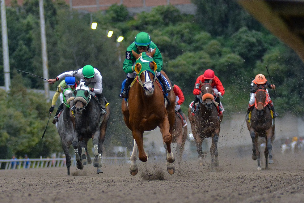 La Peralta, horse, Rancho Pozo de Luna, Clásico Criadores Mexicanos, Hipódromo de Las Américas, 28 de septiembre de 2019. Foto: Miguel Ángel Espinoza