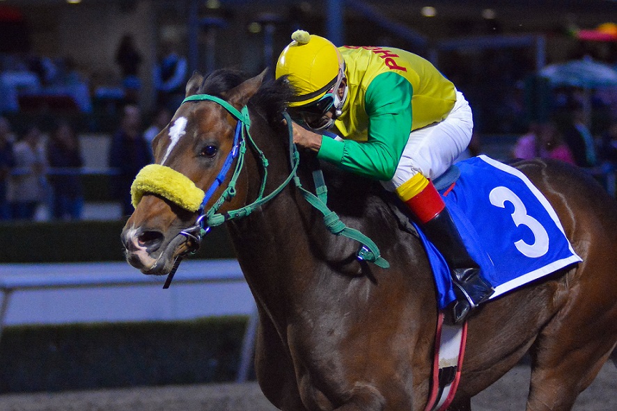 Mexican Wonder Boy, horse, Can The Man, Clásico Anahuac, sábado, 7 de septiembre de 2019, Hipódromo de Las Américas. Foto Miguel Ángel Espinoza