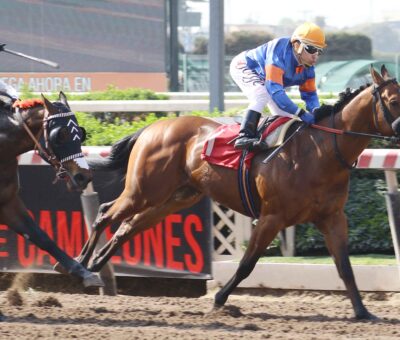 Space Oddity, horse, Haras El Matriarca, Clásico República Federativa de Brasil jueves, 26 de septiembre de 2019, Hipódromo Chile. Foto: Jaime Cortés