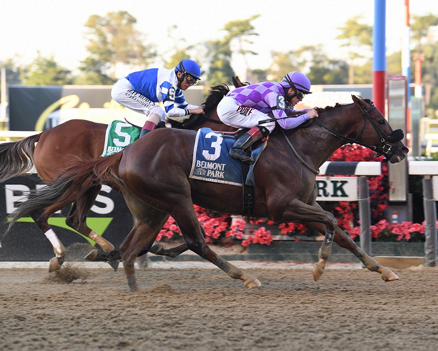 Pat On The Back, horse, Congrats, Kelso Handicap, sábado, 21 de septiembre de 2019, Belmont Park. Foto: Coglaniese Photo & Susie Raisher