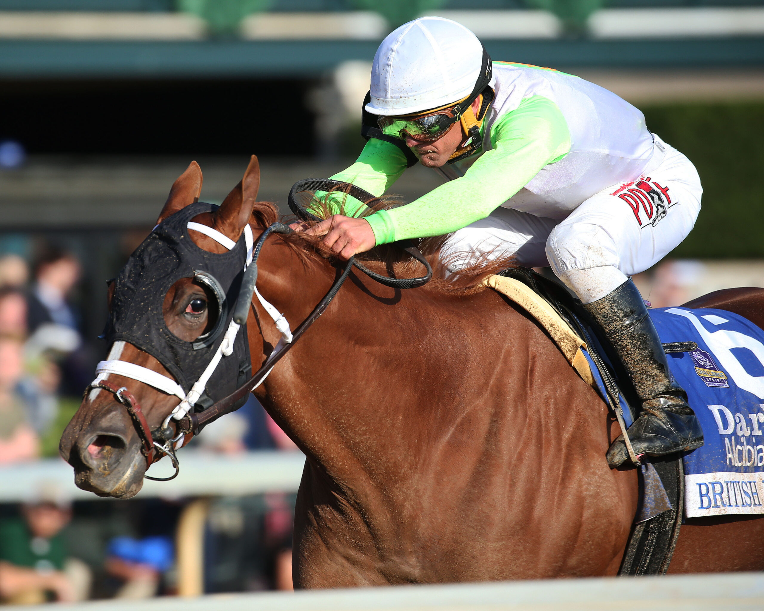 British Idiom, horse, Flashback, Darley Alcibiades Stakes G1, viernes, 4 de octubre de 2019, Keeneland. Foto: Coady Photo