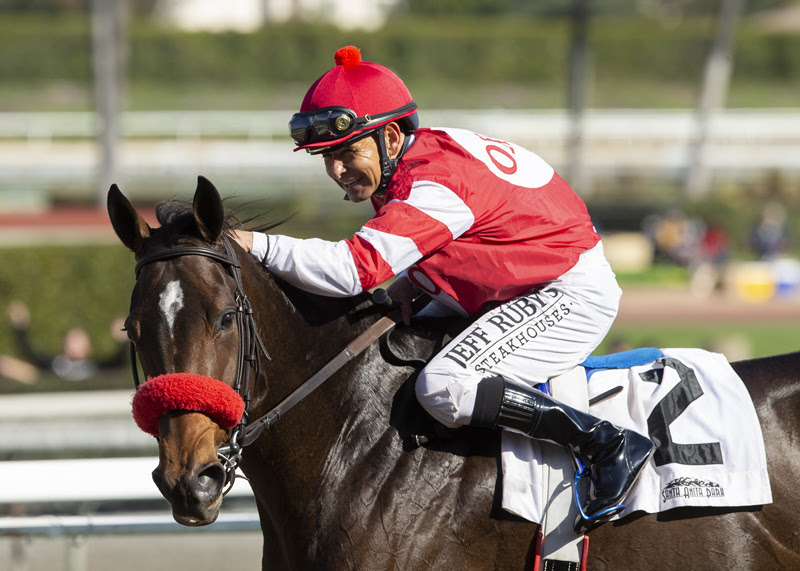 Omaha Beach, horse, War Front, Santa Anita Sprint Championship Stakes, sábado, 5 de octubre de 2019, Santa Anita Park. Foto: Benoit Photo