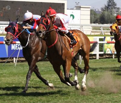 Altiro Con Ellos, horse, Haras Don Alberto, Clásico Círculo de Dueños F. S. de Carreras, domingo, 13 de octubre de 2019, Club Hípico de Santiago. Foto: Jaime Cortés
