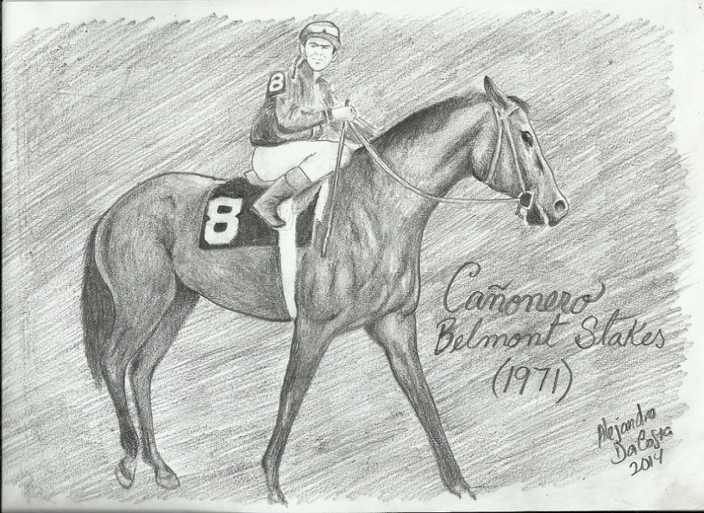 Cañonero, Horse, dibujo que ilustra al caballo al momento de salir a correr el Belmont Stakes de 1971, en Belmont Park. Obra del artista: Alejandro Da Costa