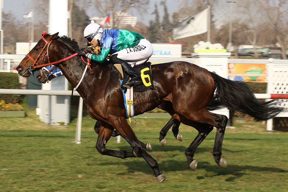 Ticket To Run, horse, Scat Daddy, Condicional, lunes, 6 de agosto de 2019, Club Hípico de Santiago. Foto: Jaime Cortés