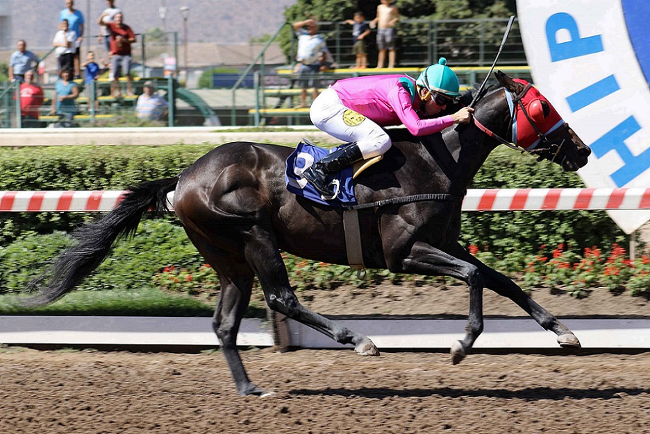 El Embajador, horse, Domingo Siete, Gabriel Donoso Rosselot, sábado, 5 de diciembre de 2019, Hipódromo de Chile. Foto: Jaime Cortés