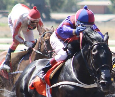 Lake Louise, horse, Haras Viejo Perro, Clásico Incentive Boy, sábado, 4 de enero de 2020. Hipódromo Chile. Foto: Jaime Cortés