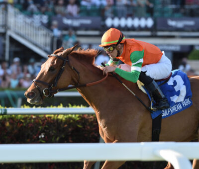 Magic Star, horse, Scat Daddy, Marshua´s River Stakes, sábado, 11 de enero de 2020, Gulfstream Park. Foto: Coglaniese Photo & Ryan Thompson