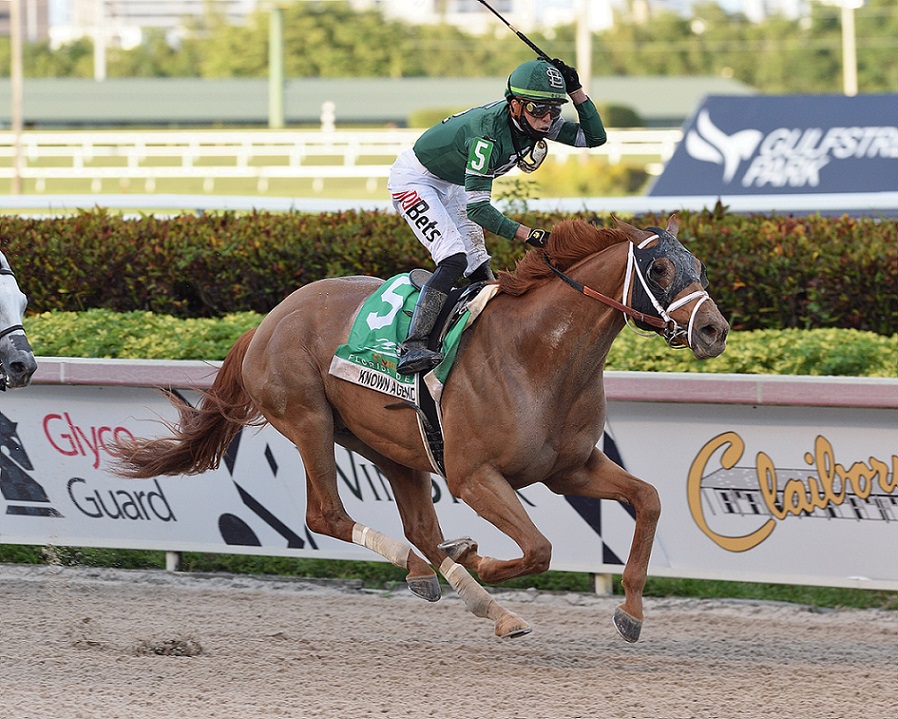 Known Agenda, horse, St. Elias Stables, Florida Derby, sábado, 27 de marzo de 2021, Gulfstream Park. Foto: Coglianese Photo