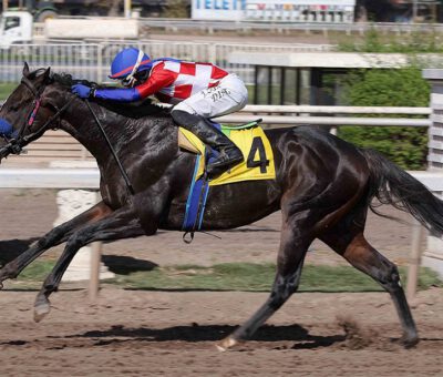 Master Dottis, horse, Stud Mauro, Clásico Dorticos, lunes, 29 de marzo de 2021, Club Hípico de Santiago. Foto: Jaime Cortés
