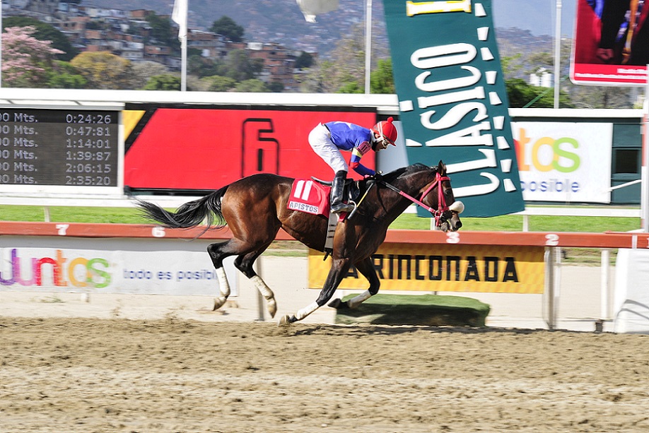 Apistos, horse, Haras Oropal, Clásico Presidente de la República, La Rinconada, sábado, 18 de abril de 2021. Foto: José Antonio Aray