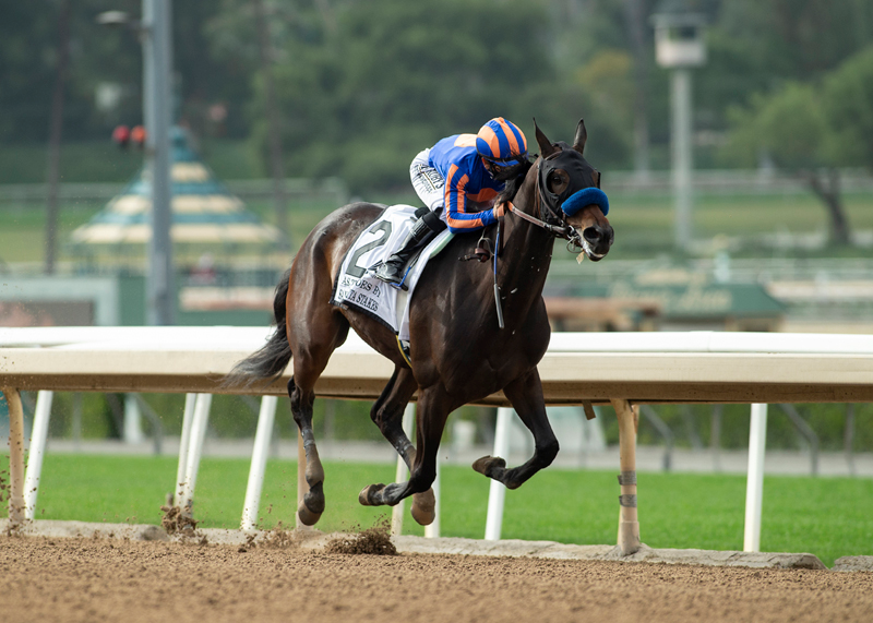As Time Goes By, horse, Stud John y Mrs. Magnier, Santa Margarita Stakes, Santa Anita Park, sábado, 24 de abril de 2021. Foto: Benoit Photo