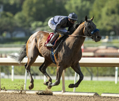 Cezanne, horse, Flavien Prat, Kona Gold Stakes, domingo, 18 de abril de 2021, Santa Anita Park. Foto: Benoit Photo