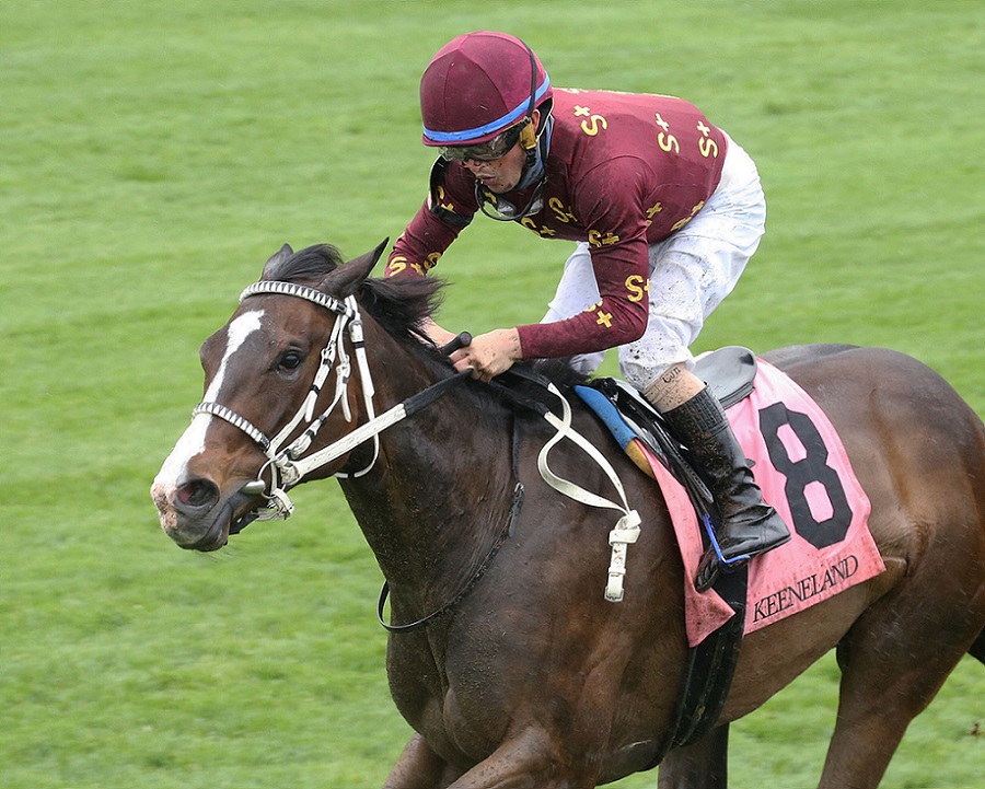 Change Of Control, horse, Fed Biz, Giant´s Causeway Stakes, sábado, 10 de abril de 2021, Keeneland. Foto: Coady Photo