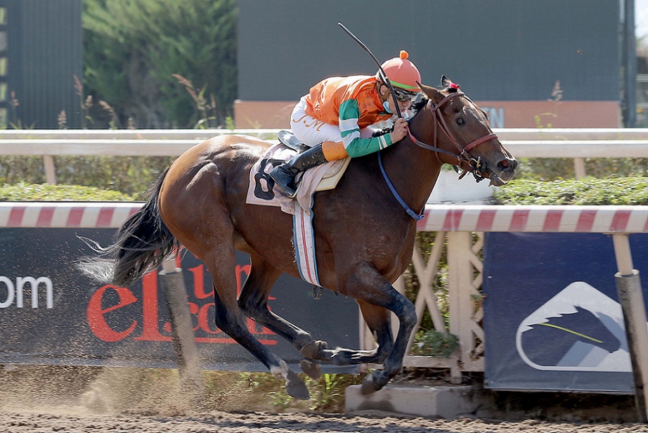 Joy Teologal, horse, Stud Don Alberto, Clásico Coronel Santiago Bueras, sábado 10 de abril de 2021, Hipódromo de Chile. Foto: Jaime Cortés