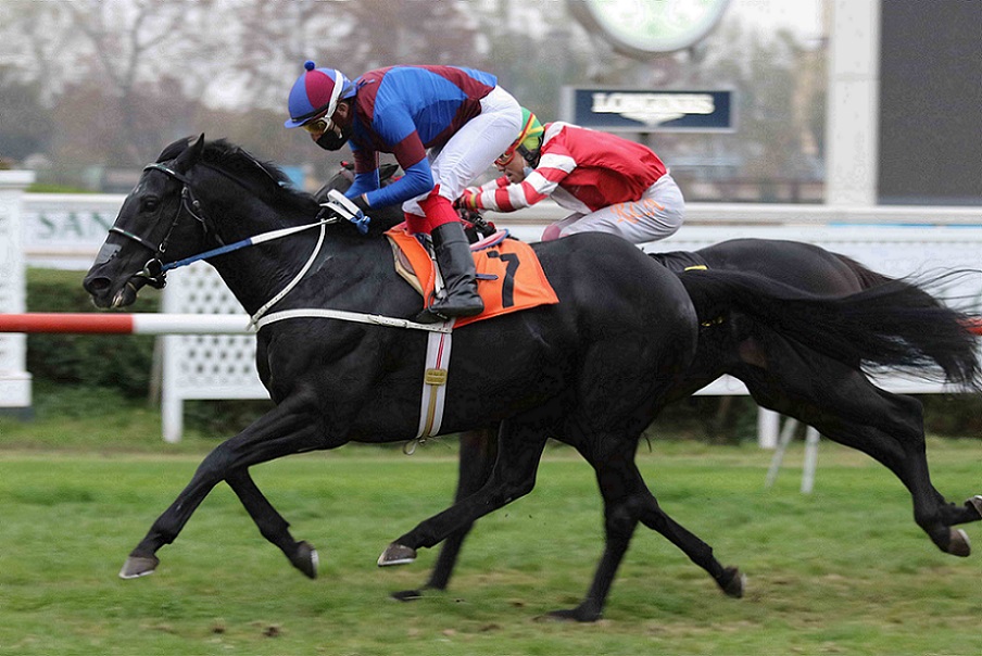 Lake Louise, Horse, Stud Viejo Perro, Clásico Ilustre Municipalidad de Calera de Tango, viernes, 23 de abril de 2021. Foto: Jaime Cortés