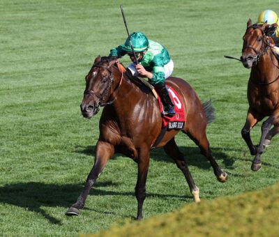 Ranging Bull, horse, Stud Peter M. Brant, The Maker´s Mark Mile, viernes, 9 de abril de 2021, Keeneland. Foto: Coady Photo