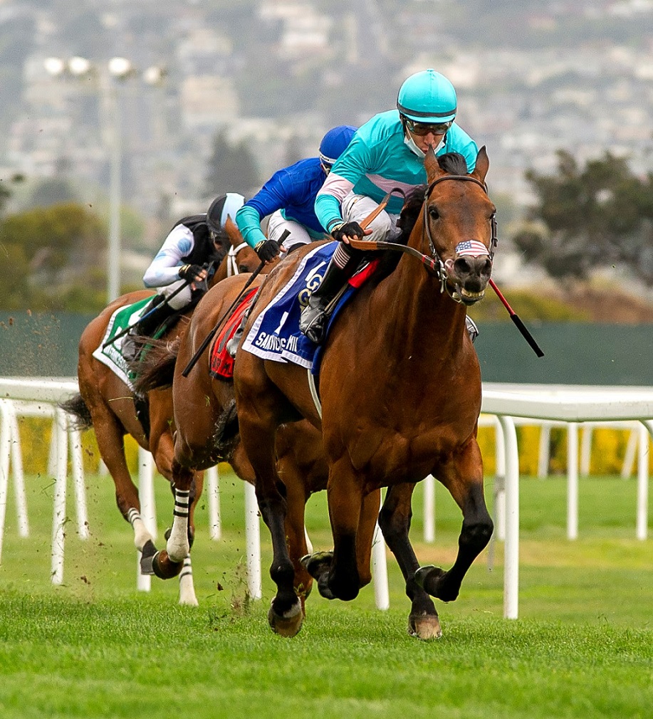 Whisper Not, horse, Christopher Dunn, San Francisco Mile Stakes, sábado, 24 de abril de 2021, Golden Gate Fields. Foto: Shane Micheli & Vassar Photography