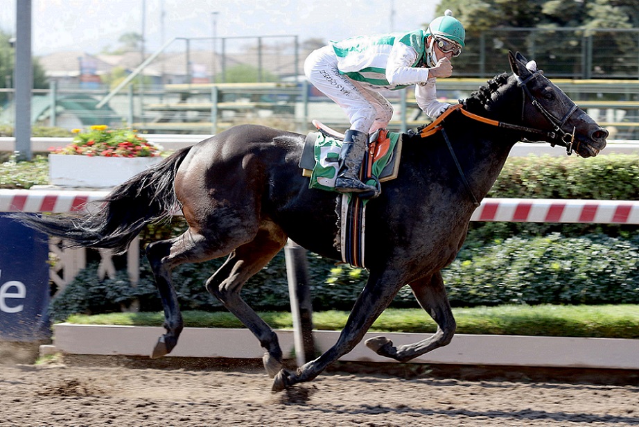 Win Here, horse, Breathless Storm, Clásico Julio Prado Amor, jueves, 8 de abril de 2021, Hipódromo de Chile. Foto: Jaime Cortés