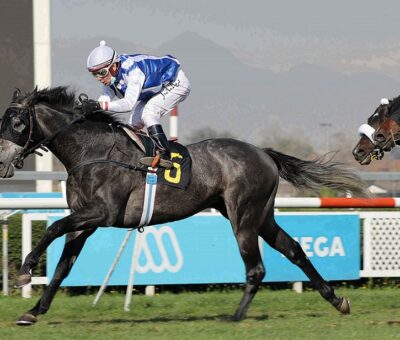 Aucar, horse, Mastercraftsman, Clásico Fernando Farini, lunes, 24 de mayo de 2021, Club Hípico de Santiago. Foto: Jaime Cortés