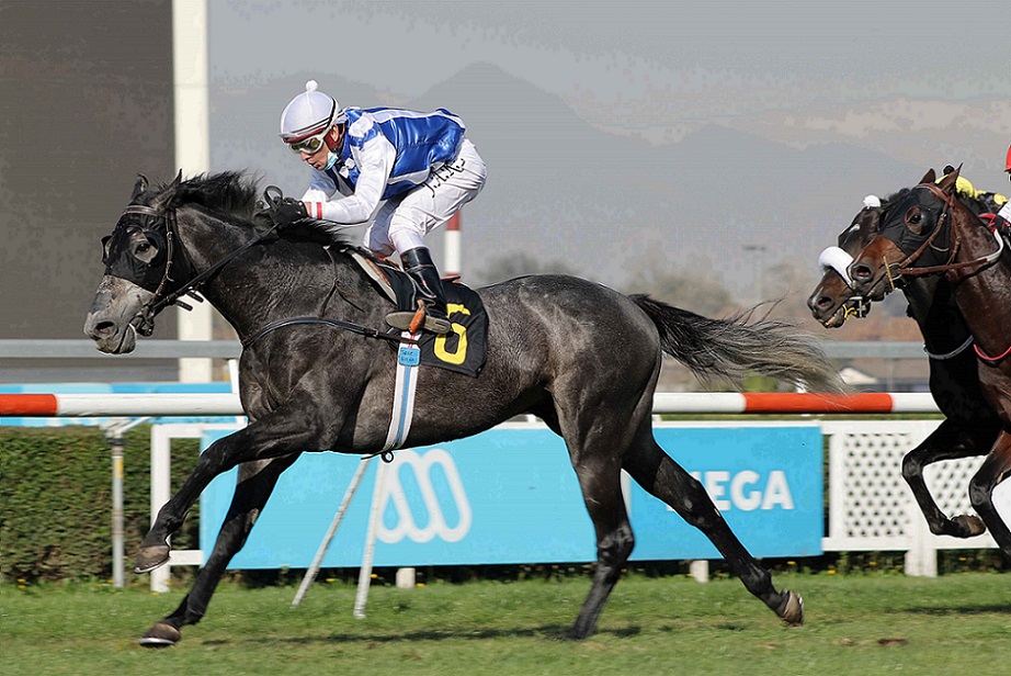 Aucar, horse, Mastercraftsman, Clásico Fernando Farini, lunes, 24 de mayo de 2021, Club Hípico de Santiago. Foto: Jaime Cortés