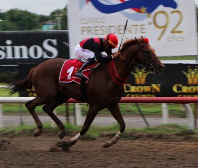 Capocostello, horse, Stud Chesnut Hill Stable, 92 Clásico Presidente de la República Panamá, sábado, 29 de mayo de 2021, Presidente Remón. Foto: Erick M.