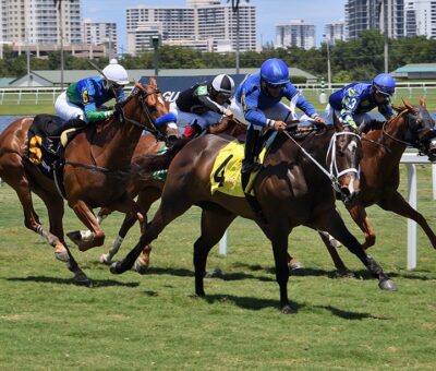 Choose Joy, horse, Lagertha, Golden Beach Handicap, domingo, 2 de mayo de 2021, Gulfstream Park. Foto: Ryan Thompson & Coglianese Photo