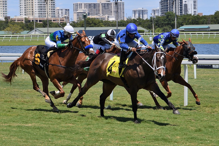 Choose Joy, horse, Lagertha, Golden Beach Handicap, domingo, 2 de mayo de 2021, Gulfstream Park. Foto: Ryan Thompson & Coglianese Photo