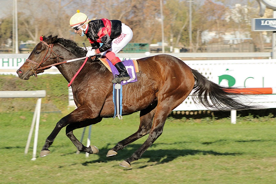 Correr De Ti, horse, Haras Don Alberto, Clásico Diario La Hípica, lunes 10 de mayo de 2021, Club Hípico de Santiago. Foto: Jaime Cortés
