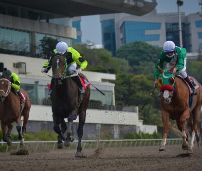 Celebutant, Horse, Cuadra AMC, Clásico Comisión Mexicana de Carreras de Caballos y Galgos, sábado, 8 de mayo de 2021, Hipódromo de Las Américas. Foto: Miguel Ángel Espinoza