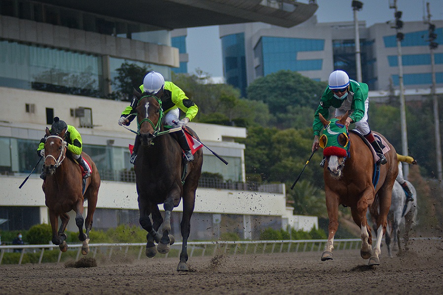 Celebutant, Horse, Cuadra AMC, Clásico Comisión Mexicana de Carreras de Caballos y Galgos, sábado, 8 de mayo de 2021, Hipódromo de Las Américas. Foto: Miguel Ángel Espinoza