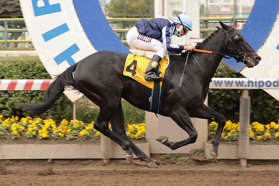 Gran Catalán, Horse, Shanghai Bobby, Clásico Federación de Rodeo Chileno, jueves, 13 de mayo de 2021, Hipódromo de Chile. Foto: Jaime Cortés