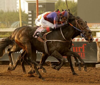 Gran Divo, horse, Stud Viejo Perro, Clásico de Criadores Eugenio Zegers León, sábado, 29 de mayo de 2021, Hipódromo de Chile. Foto: Jaime Cortés