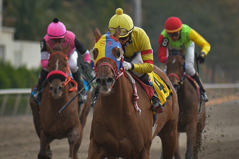 Hasta Pronto, horse, Clásico Asociación Para El Desarrollo y Fomento de la Hípica Mexicana, Hipódromo de Las Américas, sábado 1 de mayo de 2021. Foto: Miguel Ángel Espinoza