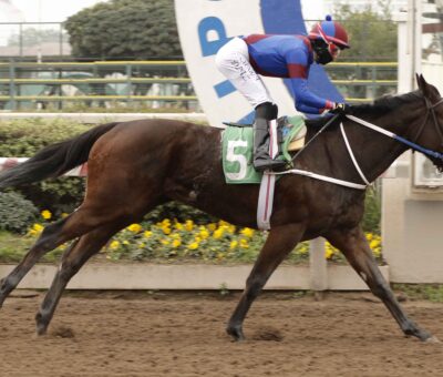 La Trafa, horse, Haras Viejo Perro, Clásico Criadores Salvador Hess Rivero, sábado, 29 de mayo de 2021, Hipódromo de Chile. Foto: Jaime Cortés